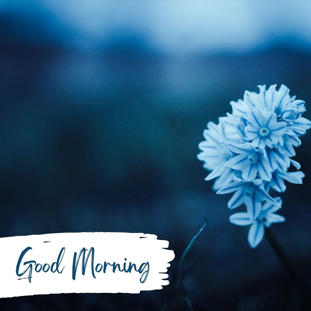 80+ Good morning images free to download 45